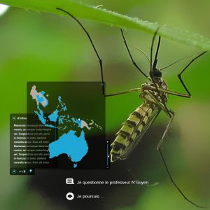 Web-documentaire sur la dengue